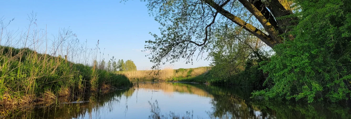 Live-Daten direkt aus den Gewässern